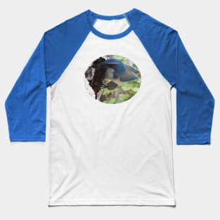 Blue Scrub Jay Hiding Acorn Baseball T-Shirt